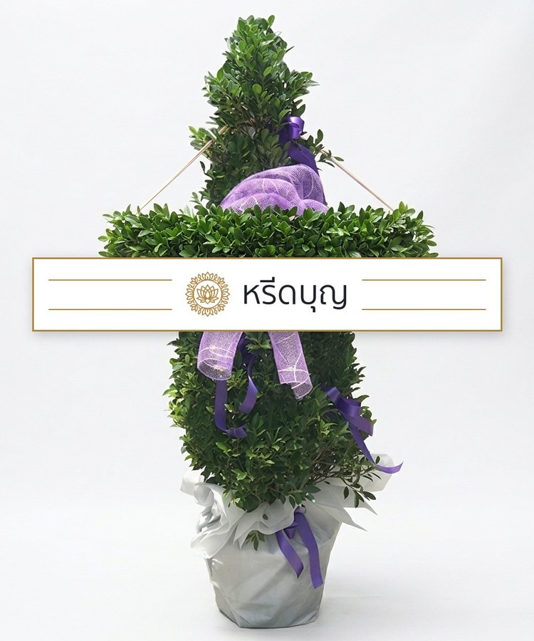 พวงหรีดต้นไม้กระถาง โทนสีเขียวพร้อมโบสีม่วง
