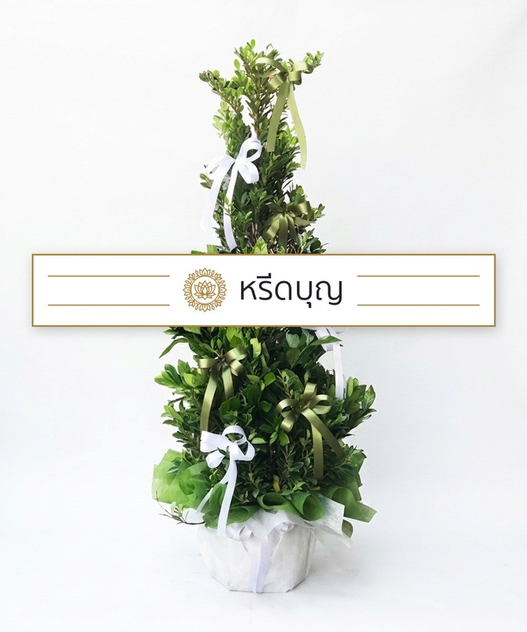 พวงหรีดต้นไม้กระถาง โทนสีเขียว พร้อมโบสีเขียวและขาว