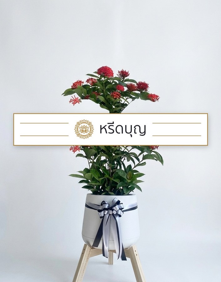 RBN สนหอมหวนรำลึก